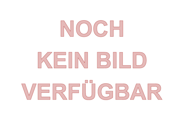 Opel Corsa Airbag Steuergerät Prüfung
